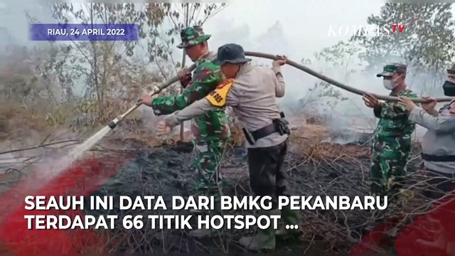 Puluhan Hektar Lahan Gambut Kebakaran, Membuat Permukiman Diselimuti Kabut Asap