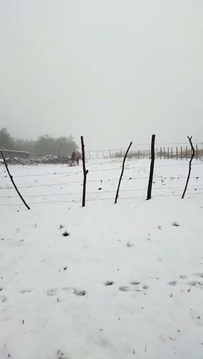Nieve en El Infiernillo - Tucumán - Parte 2