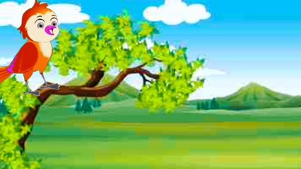 Chiriya Kahani, andon ki hifazat, cartoon tv