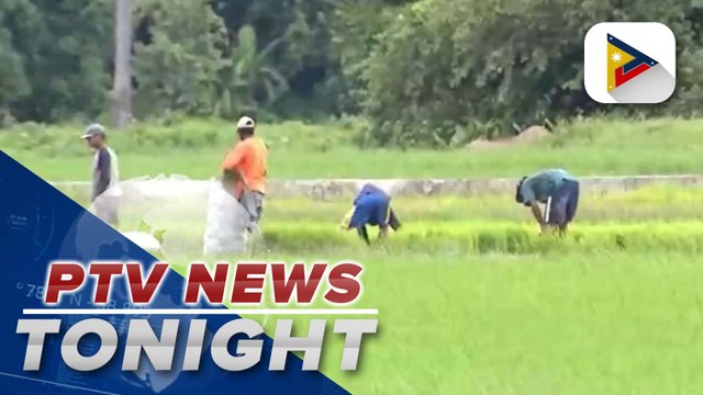 NIA assures enough water supply for farmers amid looming El Niño