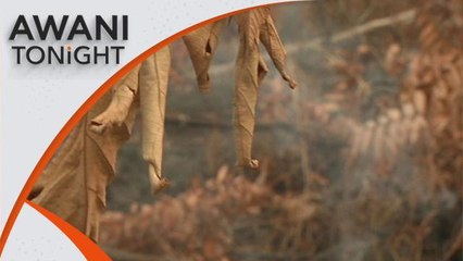 AWANI Tonight: Strengthening M’sia strategy in tackling haze