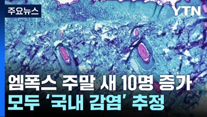 '국내 감염' 엠폭스 10명 늘어... 첫 '두 자릿 수' 증가 / YTN