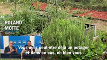 Le concours du plus beau potager de Franche-Comté 2023 est lancé !
