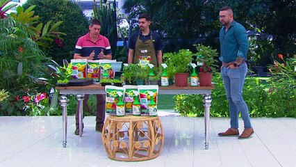 bd-publireportaje-evergreen-240423