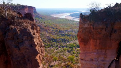 Secrets of the Elephants - Official Trailer