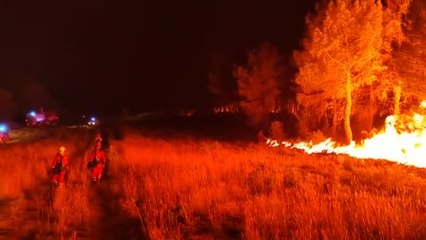 Télécharger la video: Solo 1 de cada 4 incendios forestales es intencionado, detrás de la mayoría de siniestros hay una negligencia