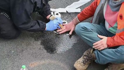 Ativistas ambientais ‘bloqueiam’ trânsito em Berlim