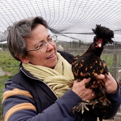 Ancienne notaire, Manuela est devenue éleveuse de poules