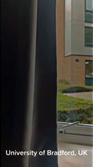 Bradford University London  #silverfox #video #italy #viral #study