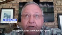 One of the world's largest rhinoceros farm goes up for auction in South Africa