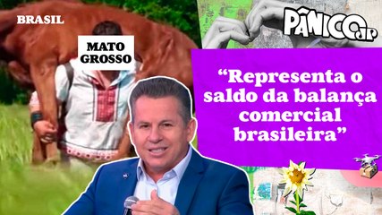 O AGRO EM MATO GROSSO É POP? MAURO MENDES RESPONDE