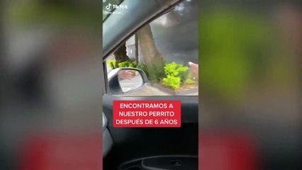 Joven encuentra a su perrito tras seis años perdido