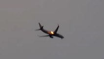 Un Boeing 737-800 d’American Airlines prend feu après avoir été touché par un oiseau