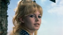 GALA VIDÉO – Brigitte Bardot “incomprise” : cette icône féministe mondialement connue qui l’a défendue face aux critiques