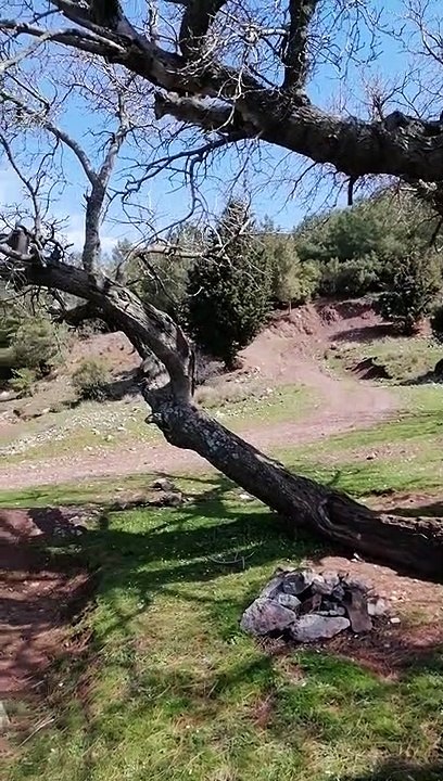 Buca Kaynaklar #buca #izmir #doğa #gezginler #dağ #orman