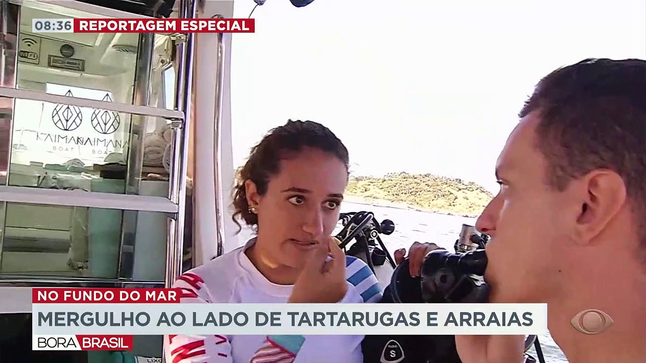 Tartarugas, cardumes e arraias: mergulho em parque de proteção ambiental 24/04/2023 17:48:52