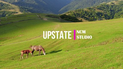 Upstate - TrackTribe:  Rock Music, Funky Music