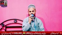 Aye Sabz Gumbad Wale Manzoor Dua Karna | Hasan Raza Qadri | Mohammad Ajaz Shah Official