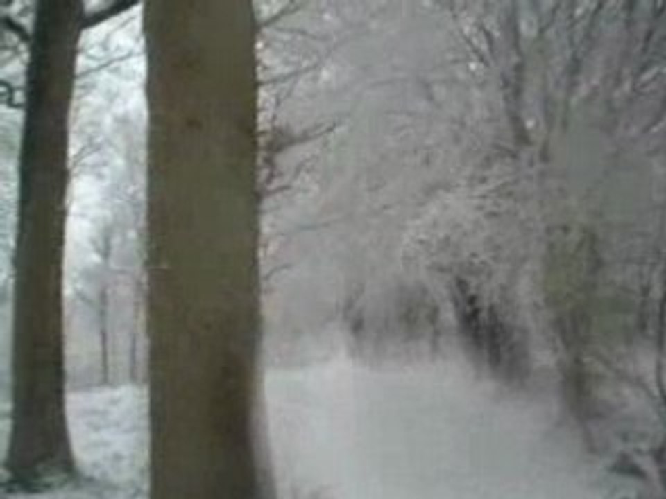 23mars2008