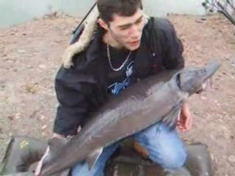 Video session montargis 13-15 mars 08 remix_0001