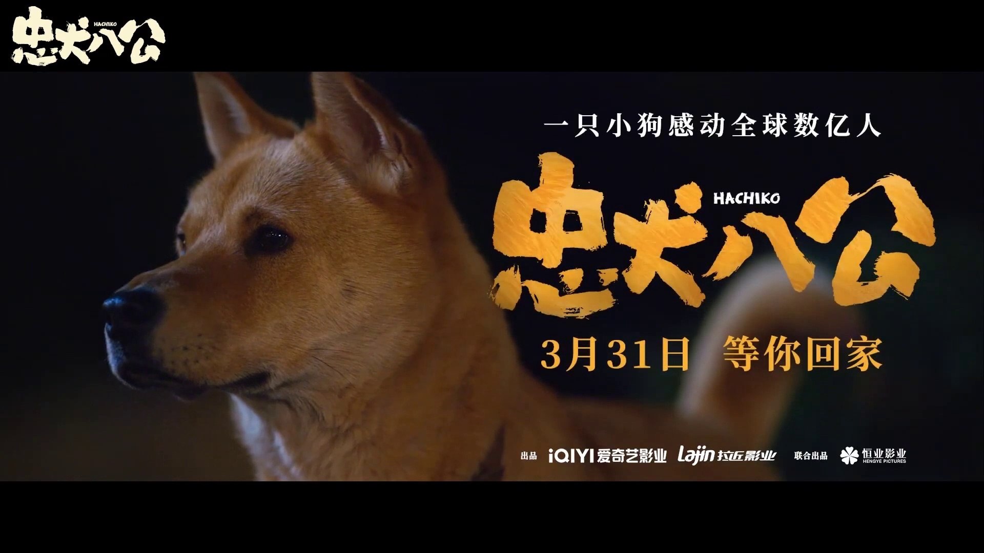 HACHIKO (2023) Trailer VO - CHINA - Vidéo Dailymotion