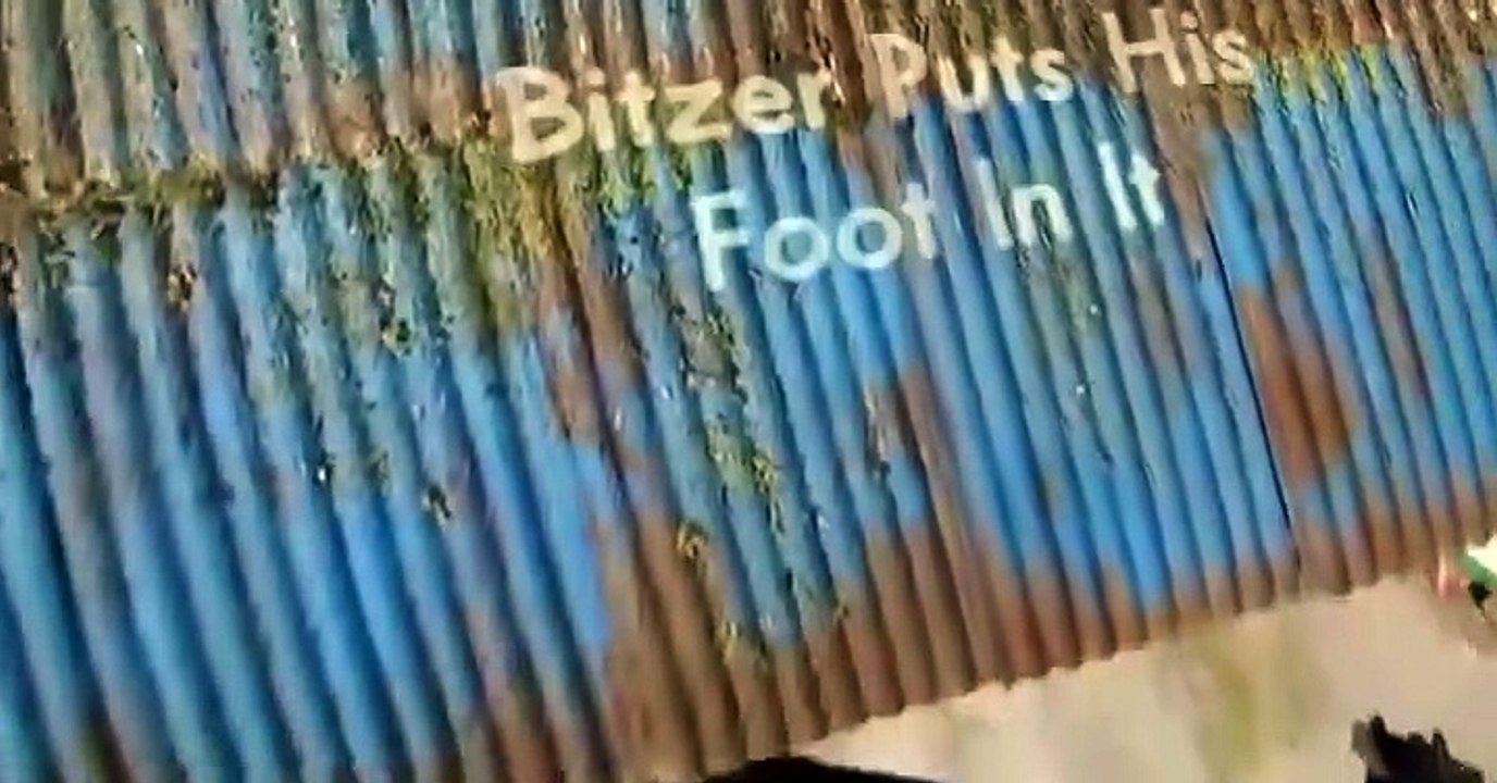 Shaun the Sheep Shaun the Sheep E027 – Bitzer Puts His Foot in It