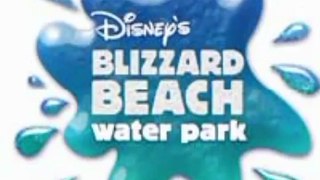 Disney's Blizzard Beach 2024