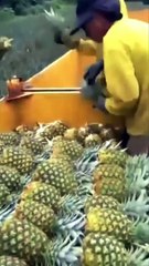 استخدم عقلك قبل جسمك