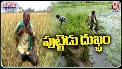 Huge Crop Damage Due To Thunderstorms, Hailstorm | V6 Teenmaar