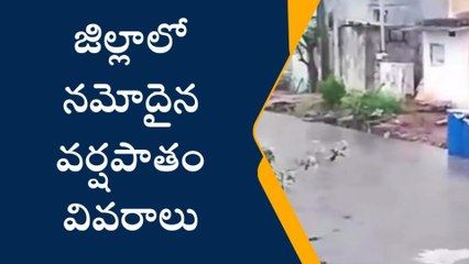చిత్తూరు: ఈదురుగాలులతో కూడిన భారీ వర్షం... వాటి వివరాలు
