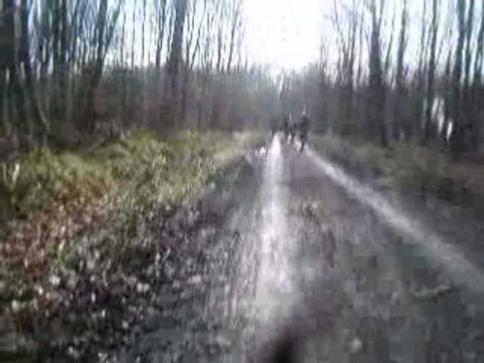 V6