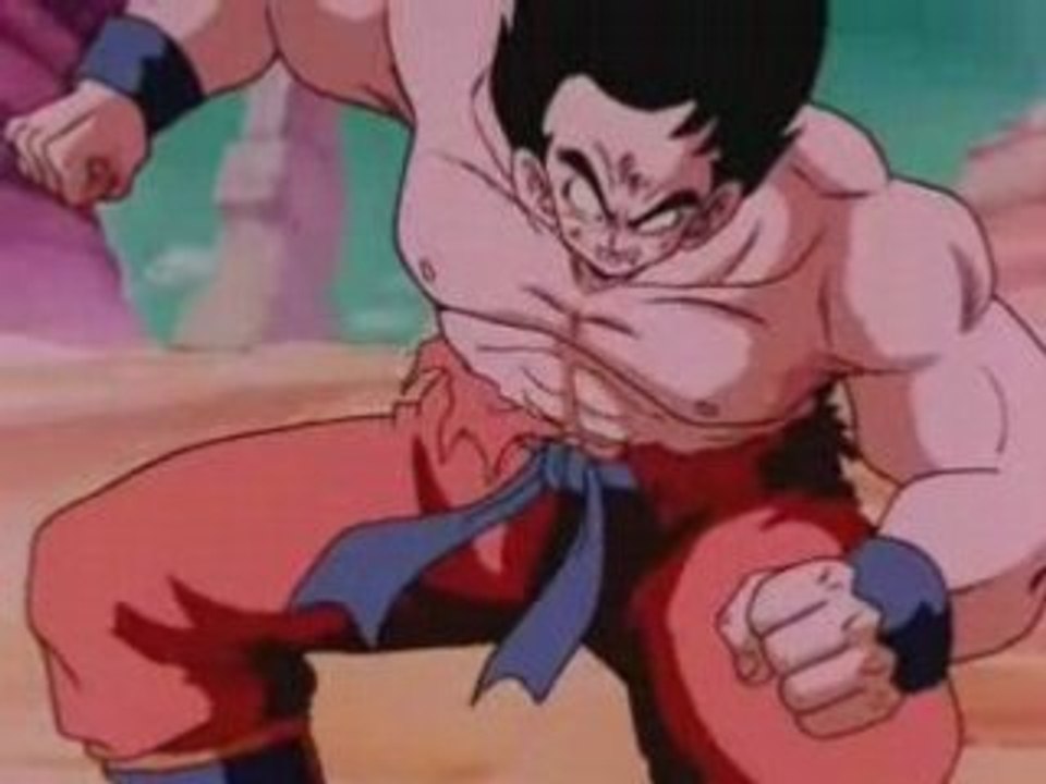 Goku contre Vejita 2
