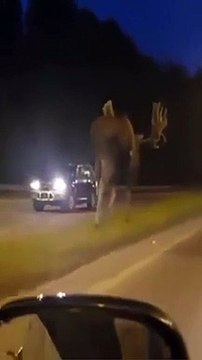 سبحان الله الخالق