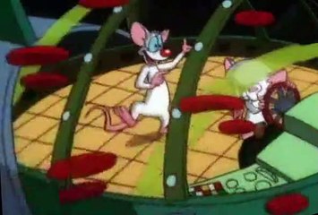 Pinky and the Brain Pinky and the Brain S04 E001 Brainwashed: Part 1 – Brain, Brain, Go Away