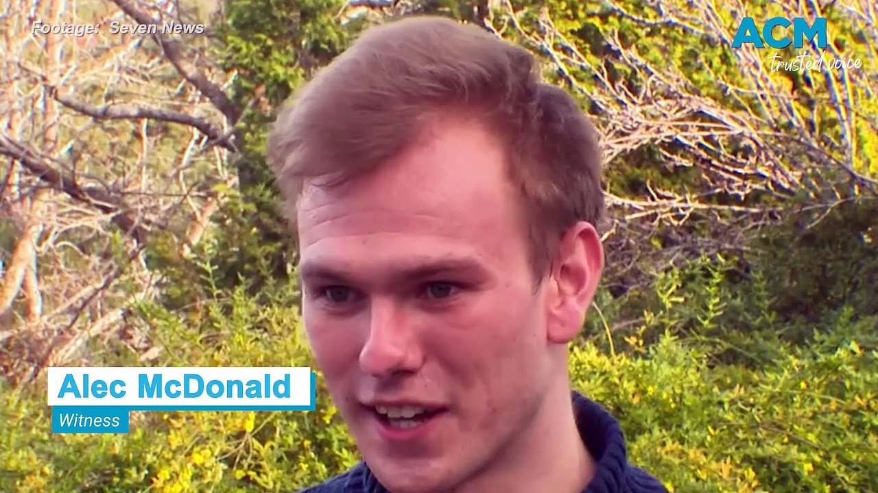 Bunyips to Yowies: Australia's strangest 'cryptids'