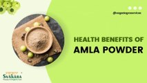 8 Benefits of Amla Powder – Superfood Indian Gooseberry