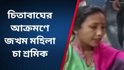 চিতাবাঘের সঙ্গে লড়াই করে প্রাণে বাঁচলেন মহিলা চা শ্রমিক