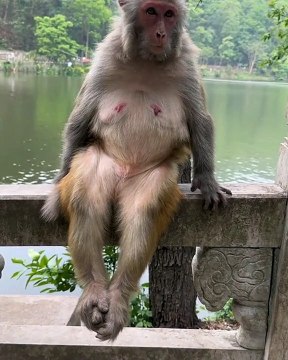 اگر آپ اداس بیٹھے ہیں تو یہ ویڈیو ضرور دیکھیں