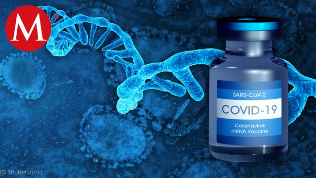 El Dr. Francisco Moreno nos detalló cuál sería el esquema de vacunación ideal contra Covid-19