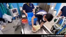 cute seal video