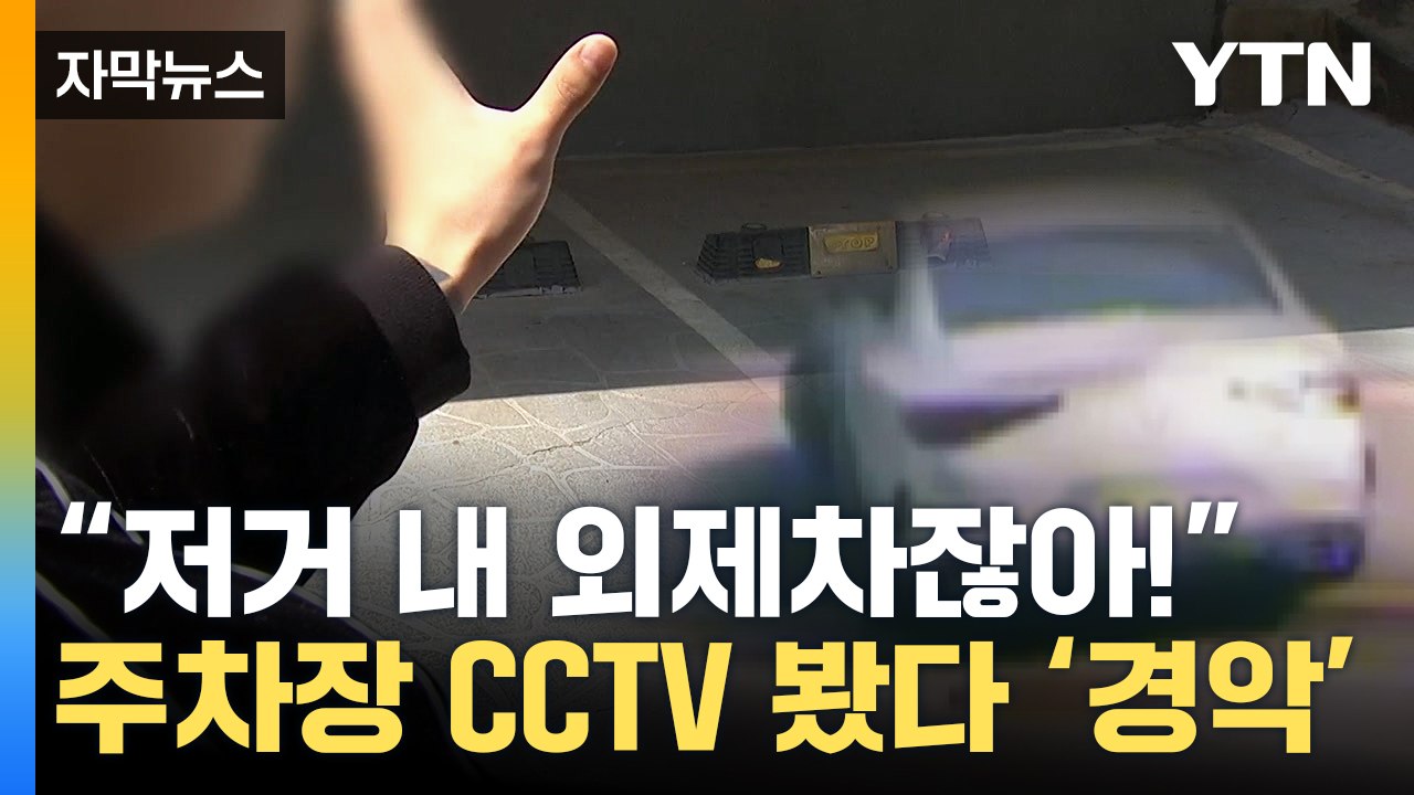 [자막뉴스] "그 외제차 팔아버렸어요"...CCTV 속 상상도 못한 범인 / YTN