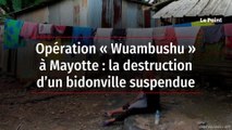 Opération « Wuambushu » à Mayotte : la destruction d’un bidonville suspendue