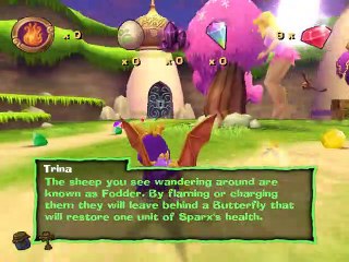 Spyro: A Hero's Tail online multiplayer - ps2
