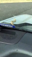 Ce qu'il découvre sur son pare-brise est impressionnant