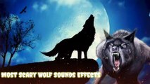 wolf howling sound effect scary no copyright horror All Sounds