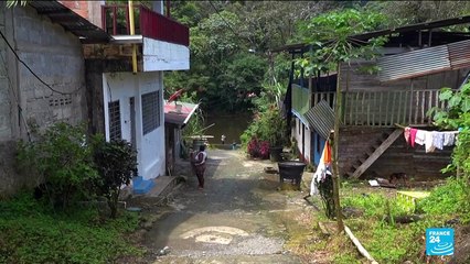 Les mines clandestines en Colombie aggravent la crise du paludisme