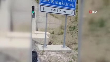 Cumhurbaşkanı Erdoğan'a destek için Kahramanmaraş'tan Ankara'ya yürüyüşe çıktı