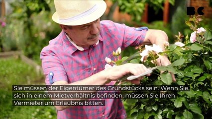 Darf man einen Hund im Garten begraben?