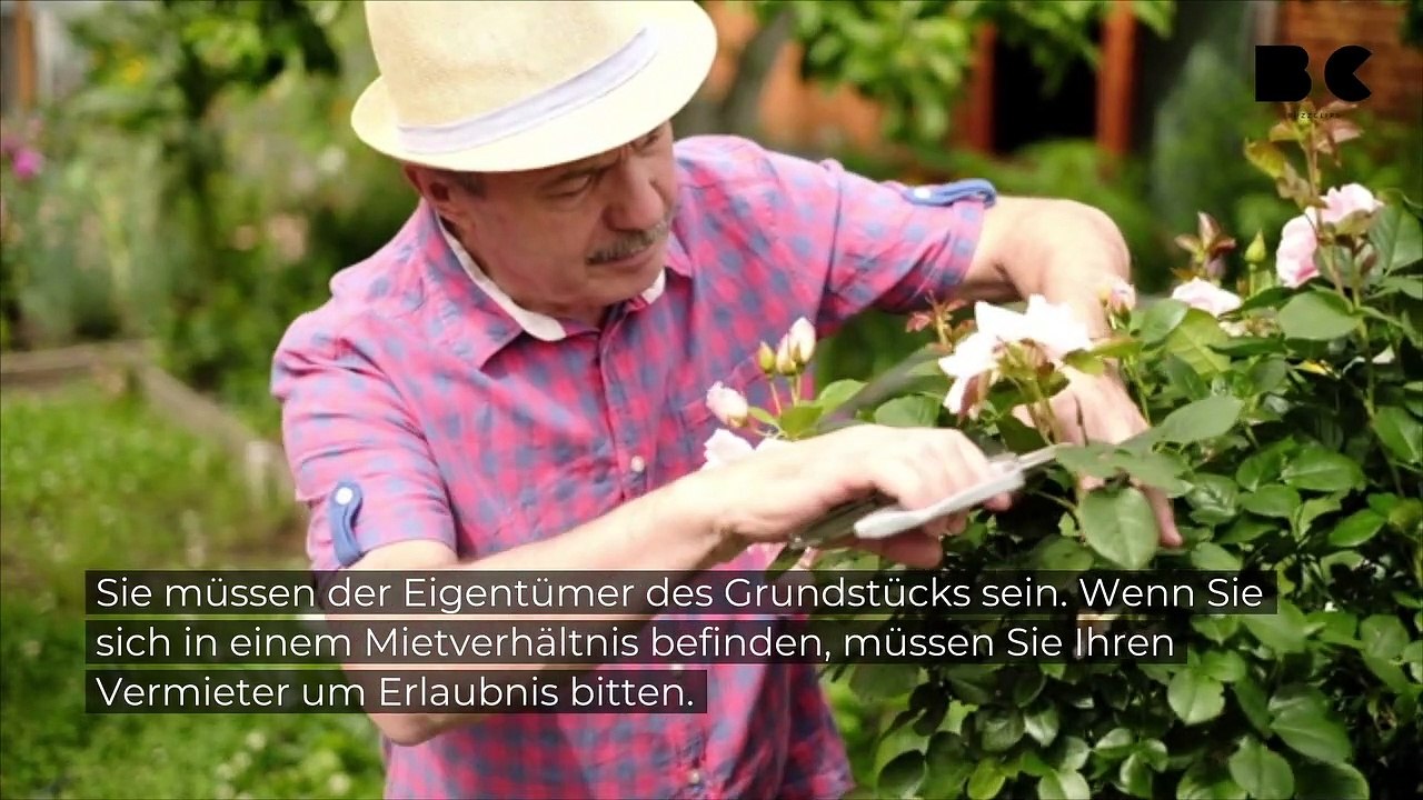 Darf man einen Hund im Garten begraben?