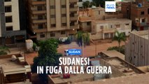 Sudanesi in fuga dalla guerra: 